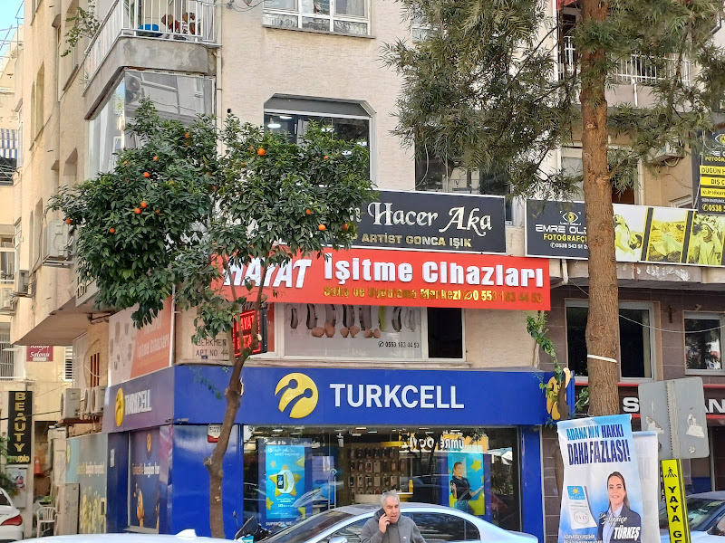 Hayat İşitme