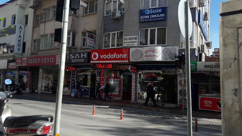 Sesim İşitme Cihazları