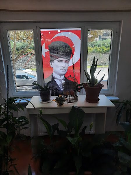 İdeal İşitme Merkezi