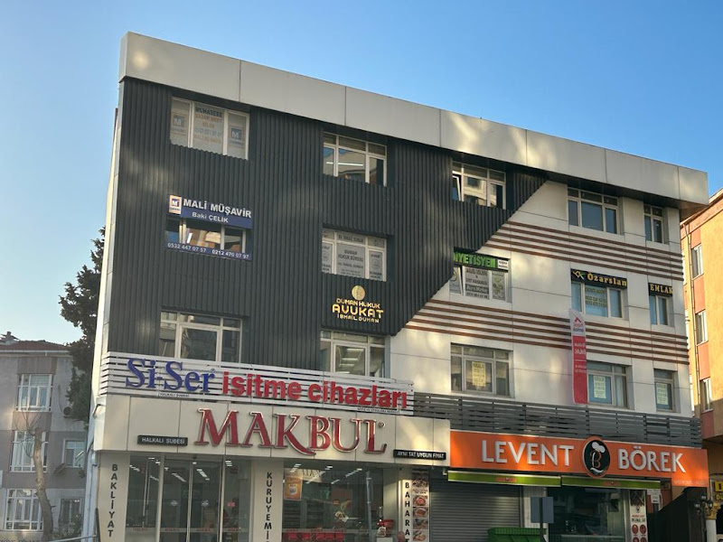 Si-Ser Halkalı İşitme Cihazları