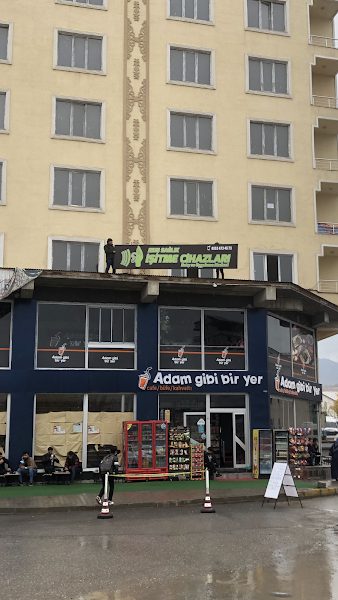 Muş sağlık işitme cihazları